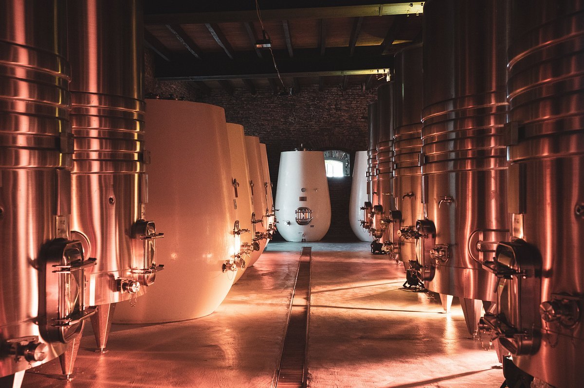 Bodega Los Cerros de San Juan
