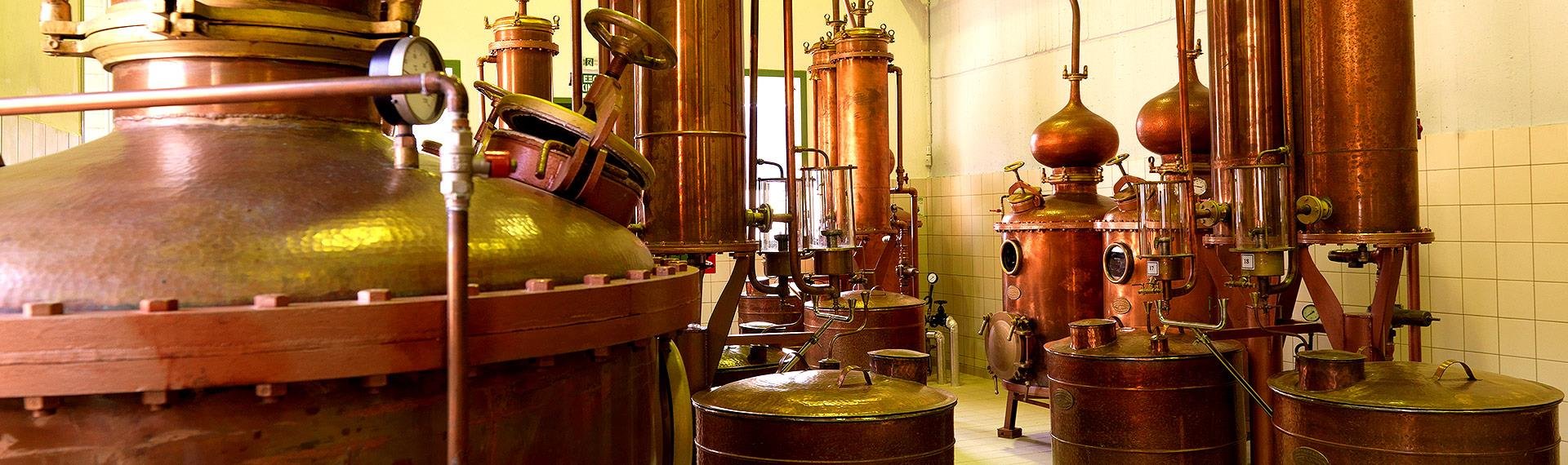 Campari Ouzo Distillery