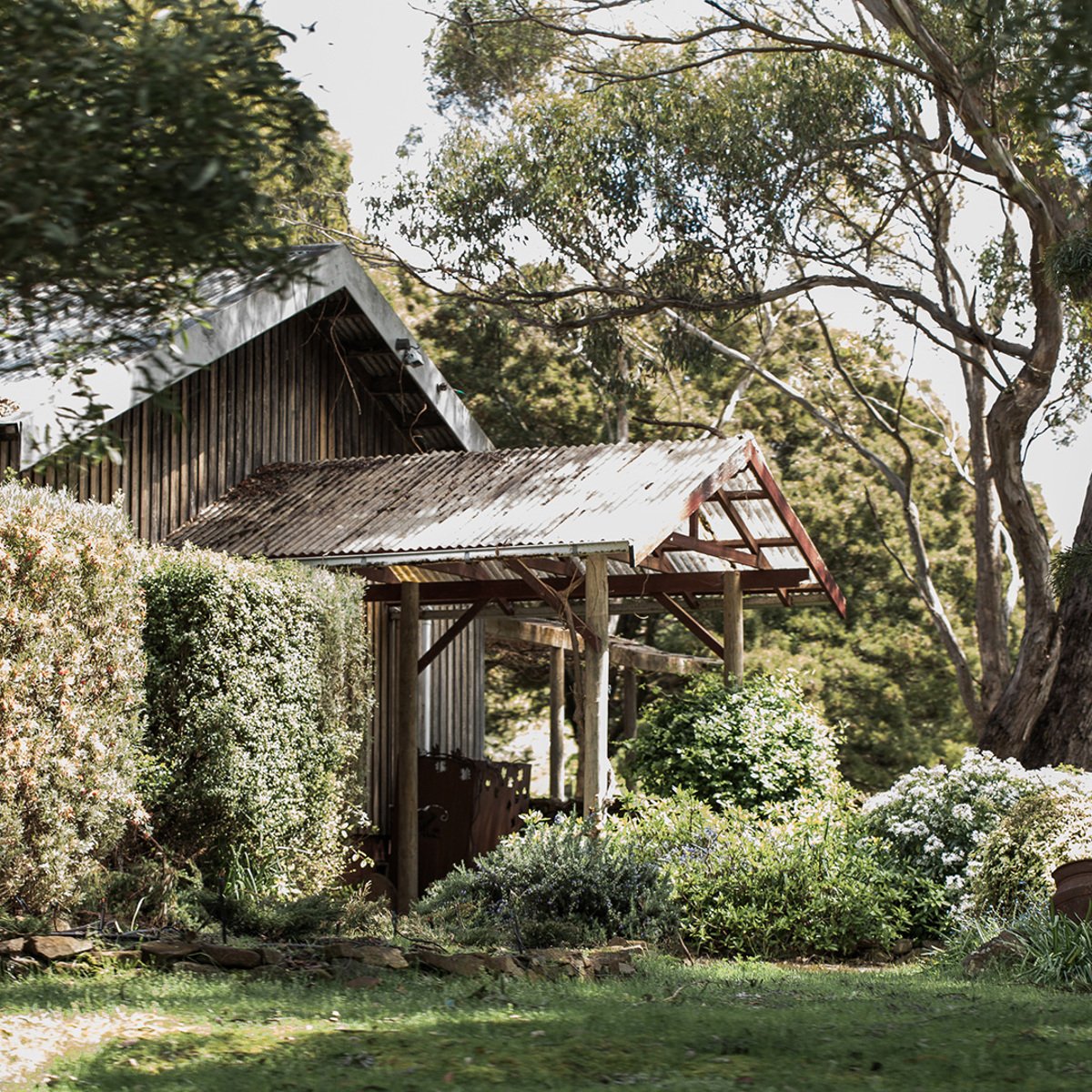 Delamere Vineyards