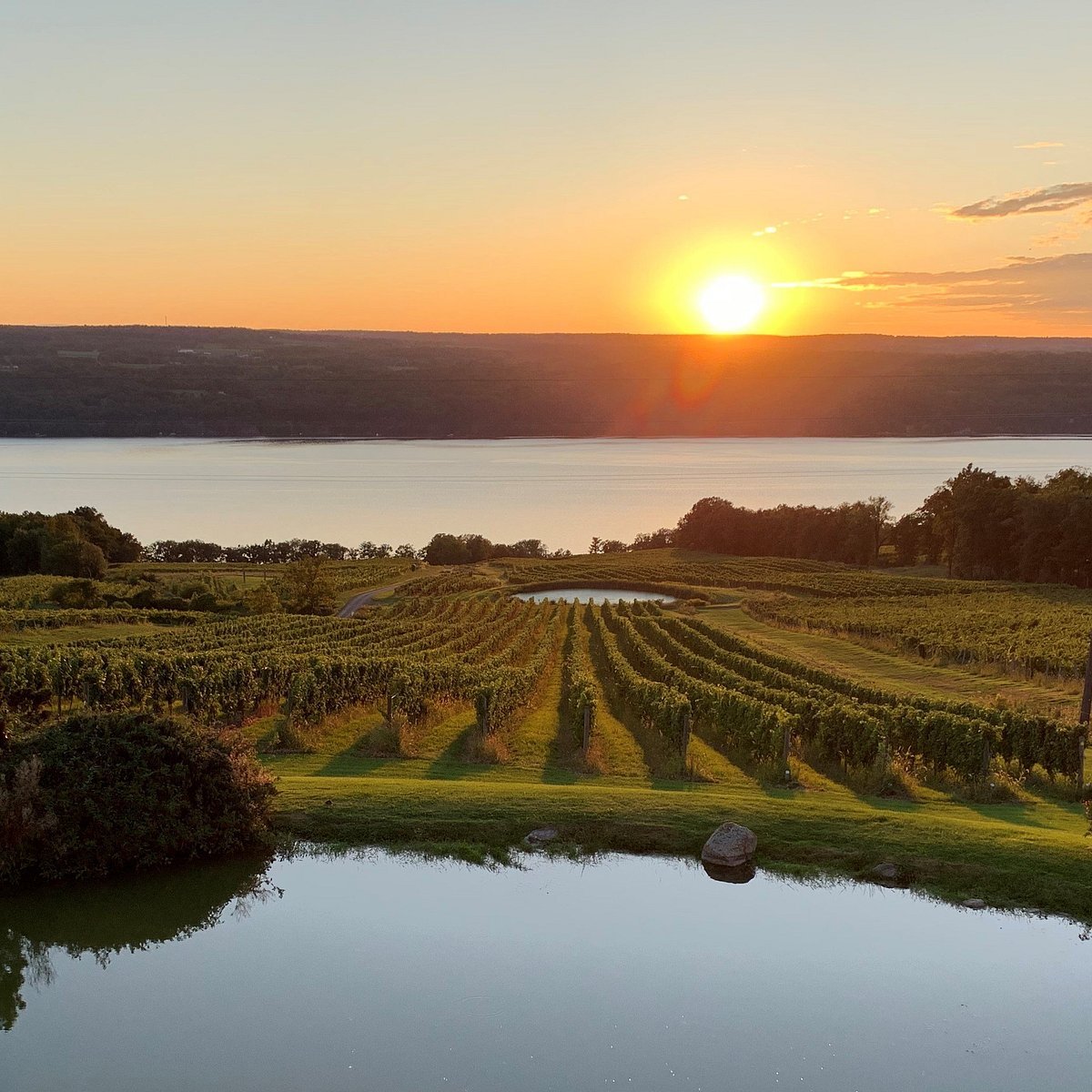 Chateau Lafayette Reneau