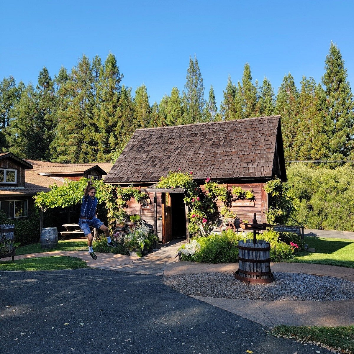 Husch Vineyards