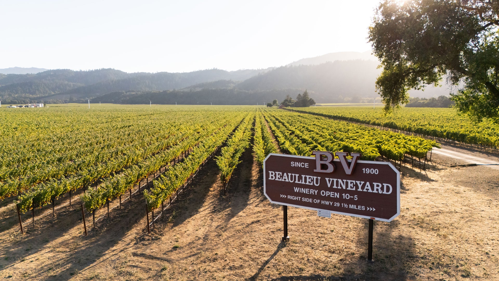 Beaulieu Vineyard (BV)