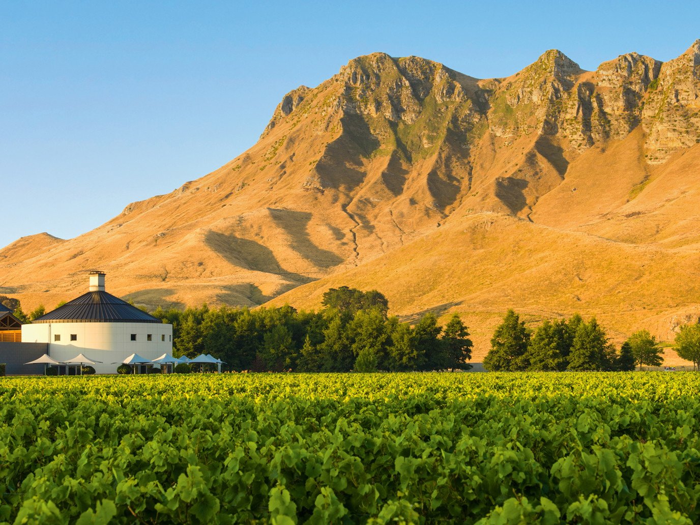 Weingut Juris (Stiegelmar)