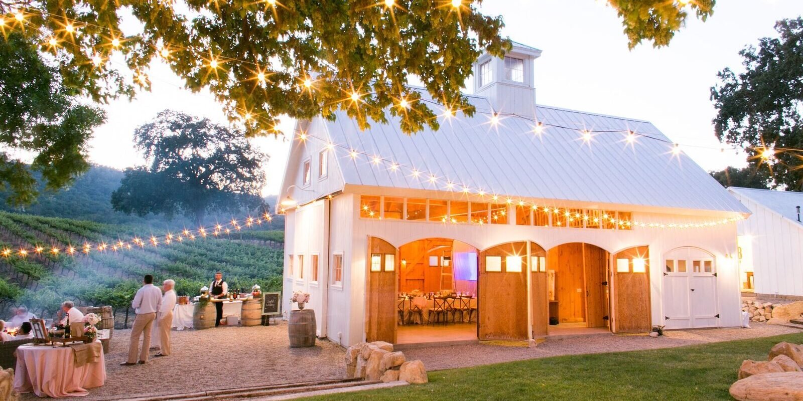 HammerSky Vineyards