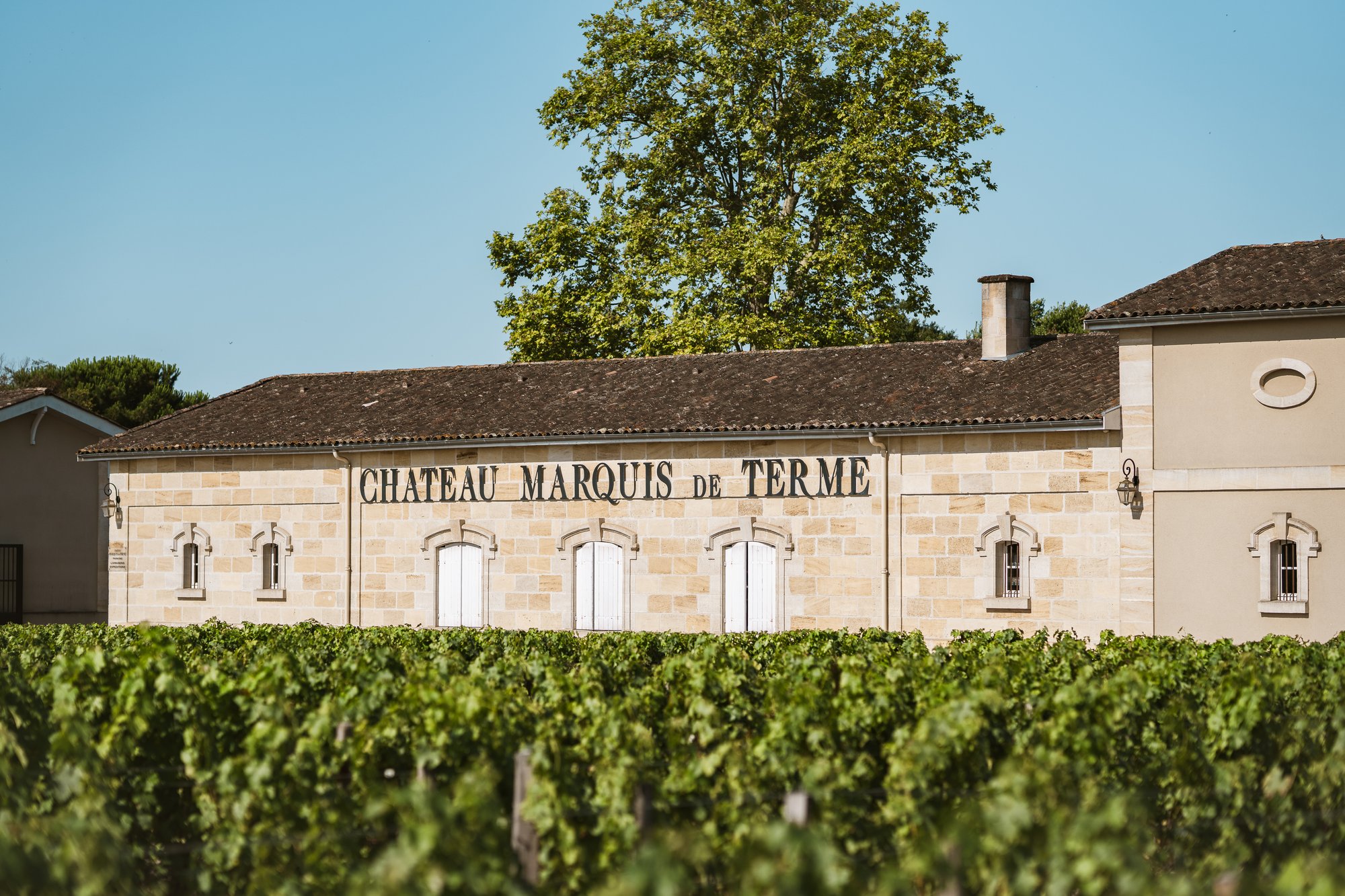 Château Marquis-de-Terme