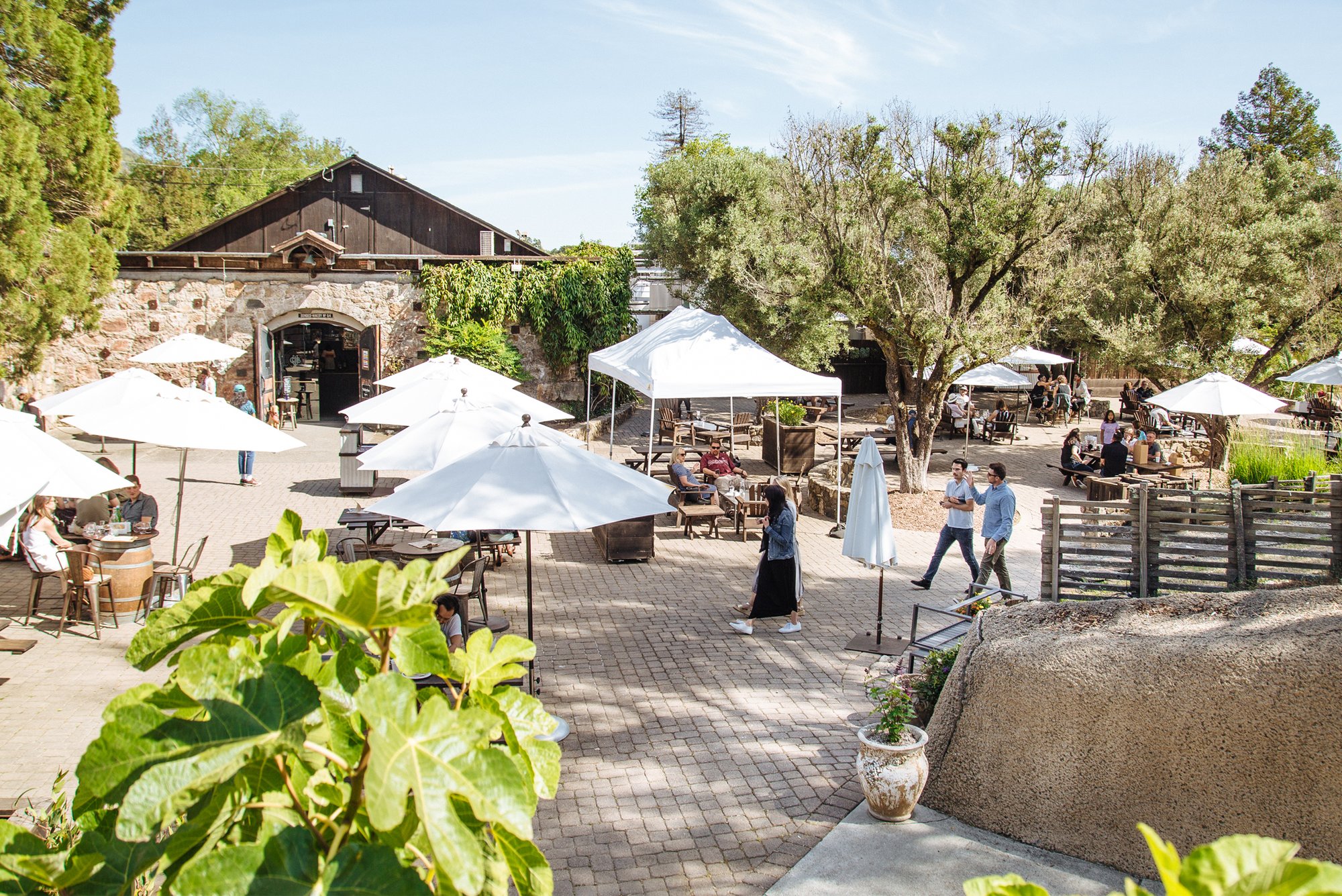 Gundlach Bundschu Winery