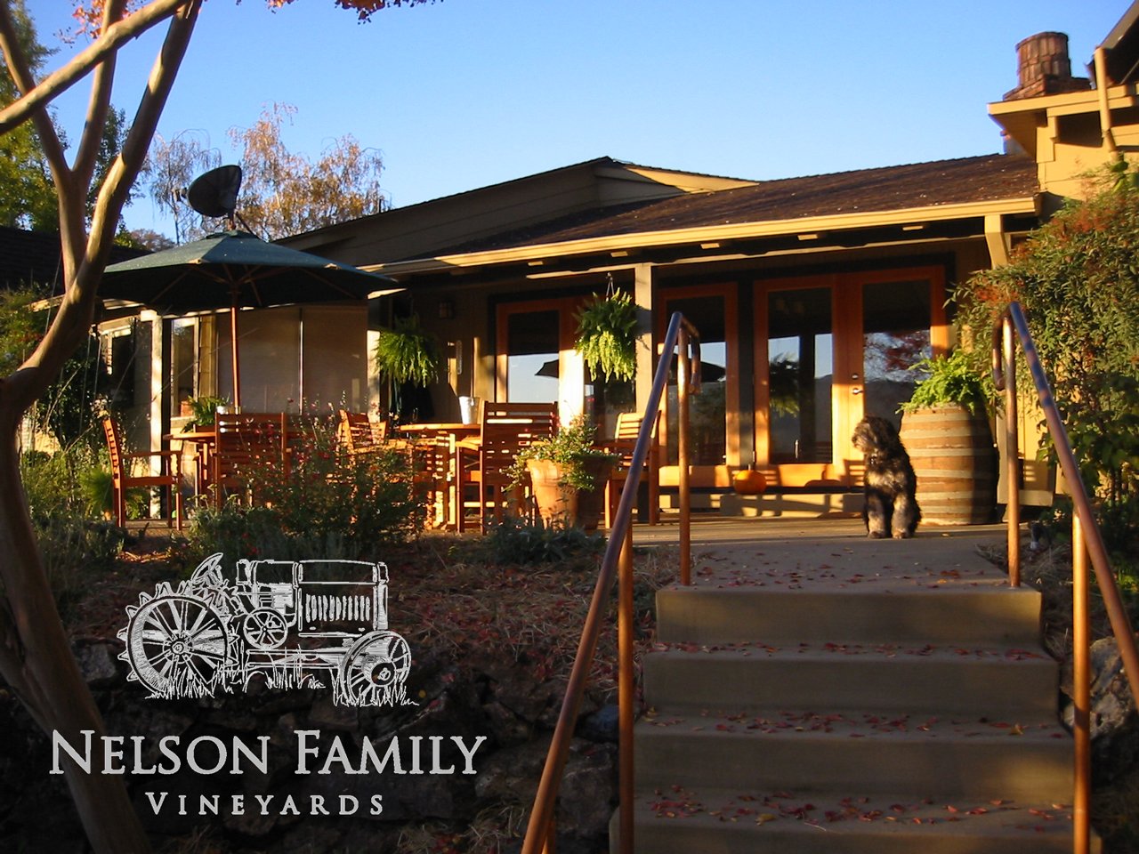 Nelson Family Vineyards |  | The En Primeur Club 