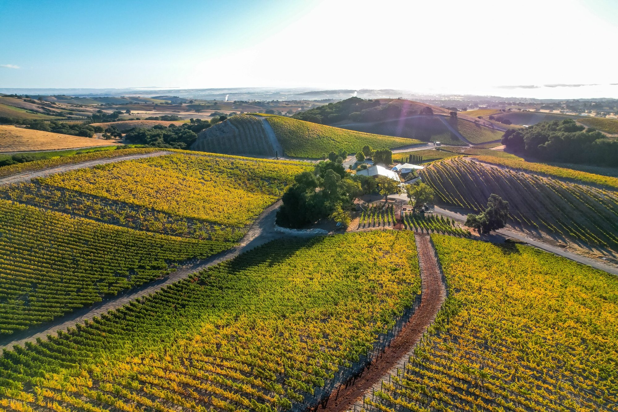 L'Aventure Winery