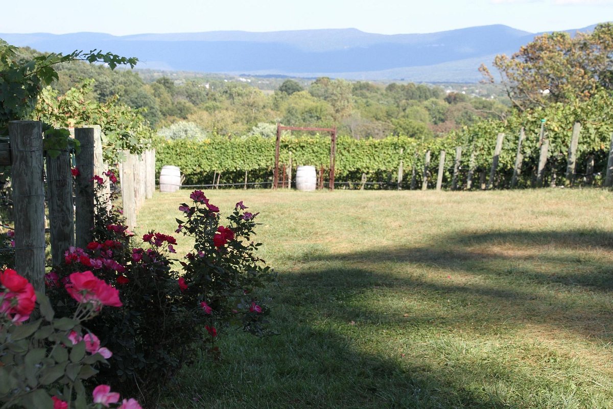 Cave Ridge Vineyard
