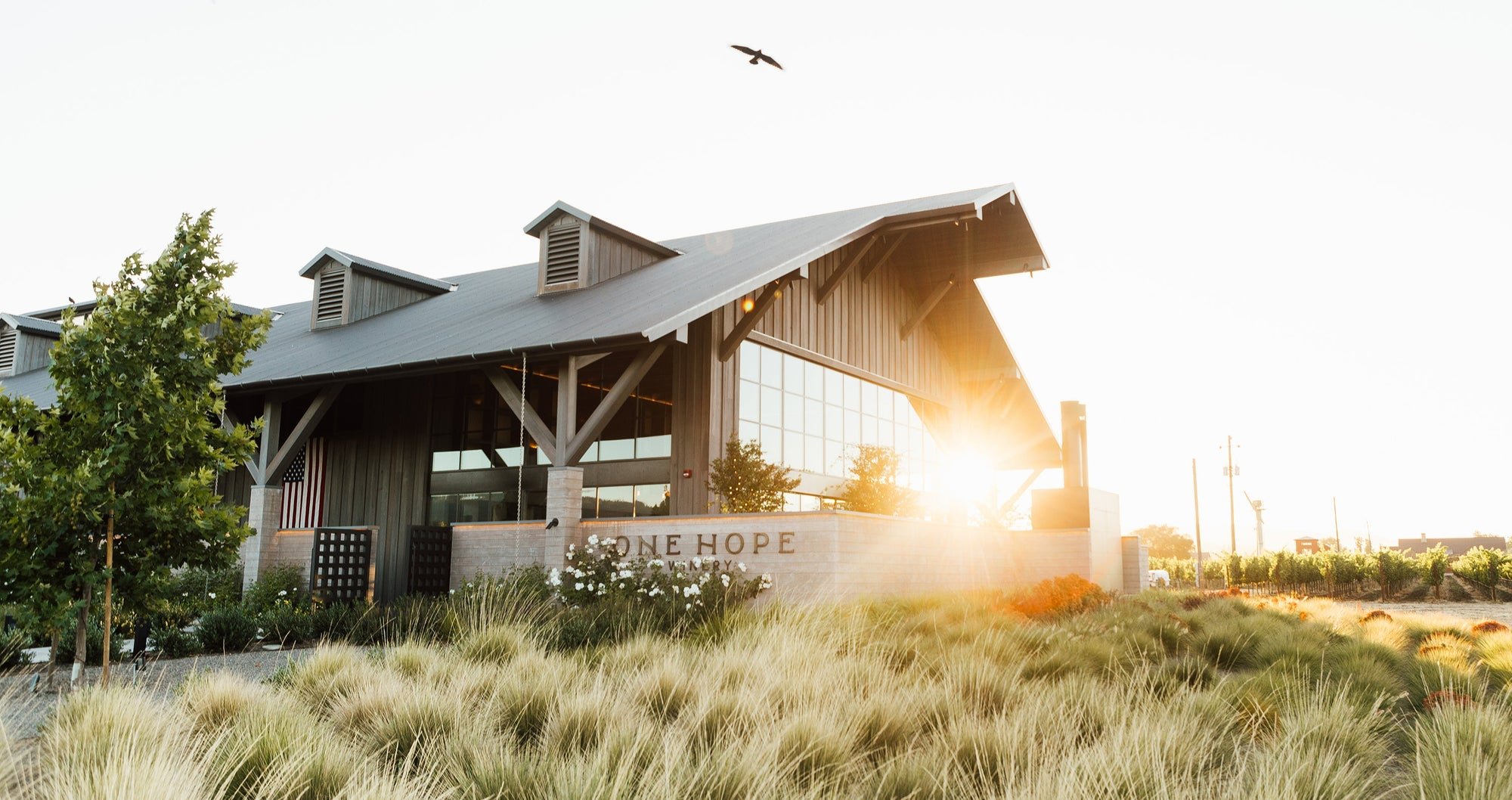 ONEHOPE Wine