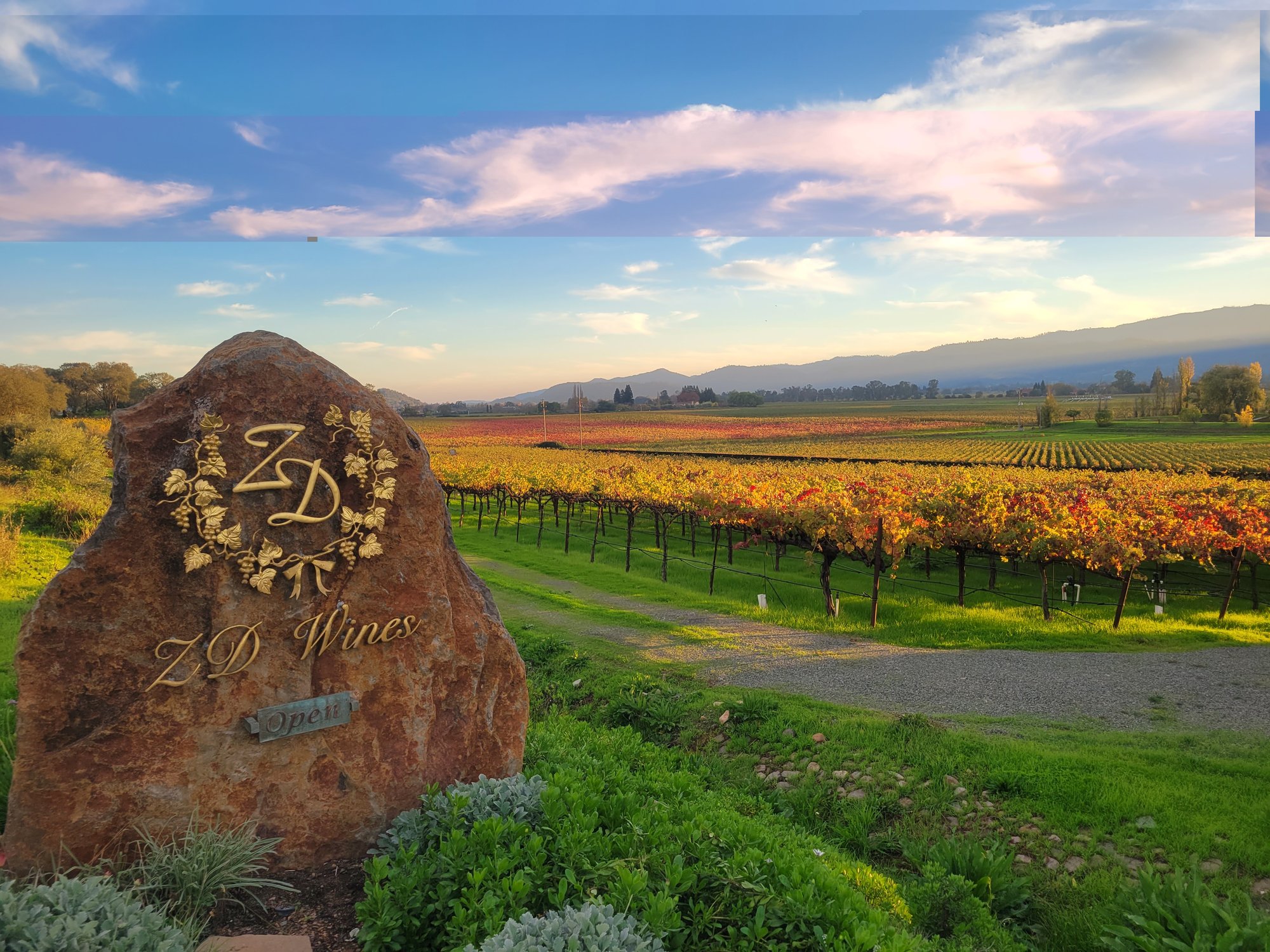 ZD Wines