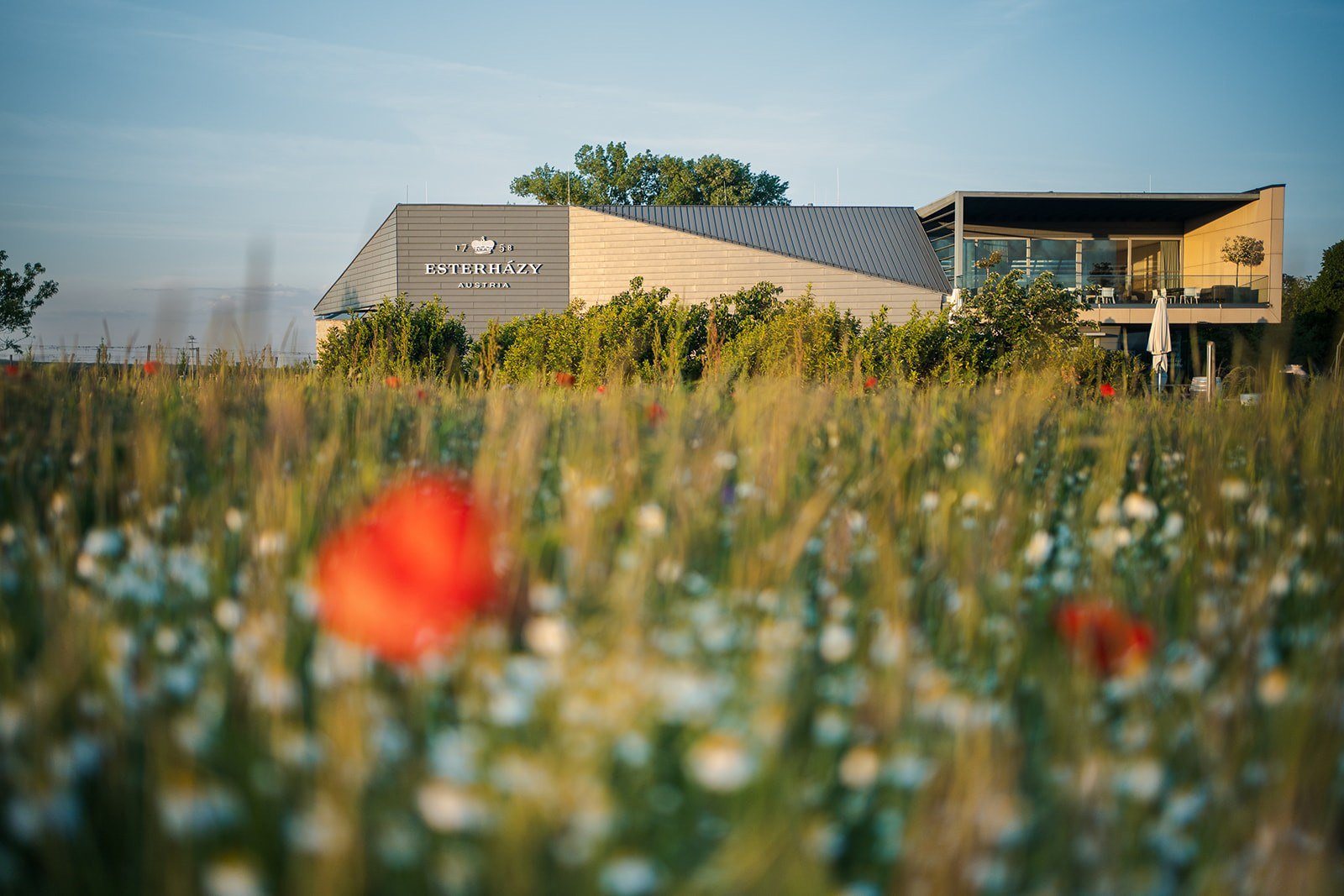 Esterházy Winery