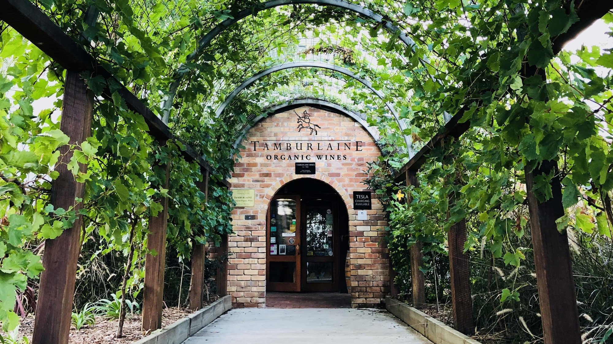 Tamburlaine Organic Wines