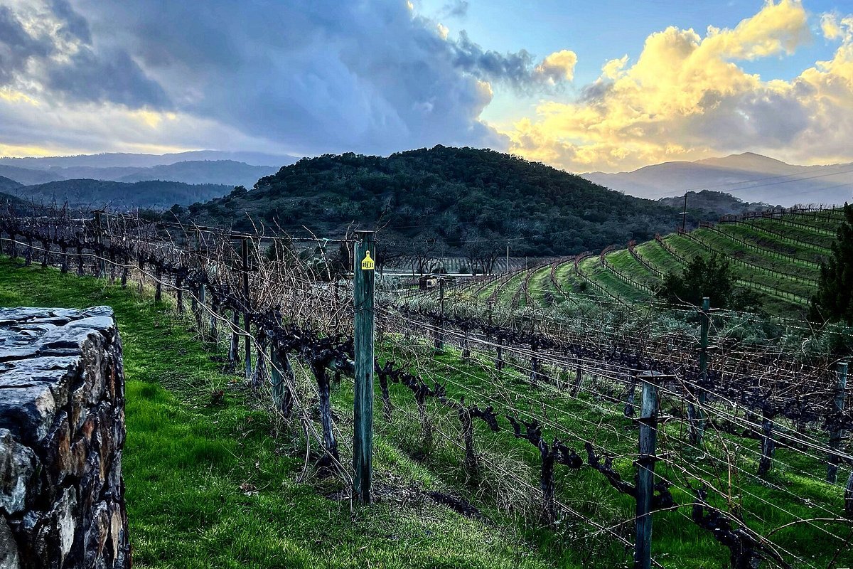 Vine Cliff Winery